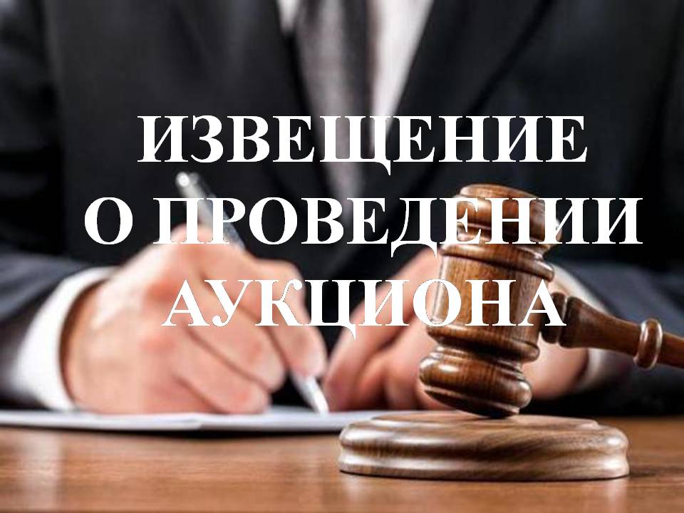 фото из открытых интернет-ресурсов.