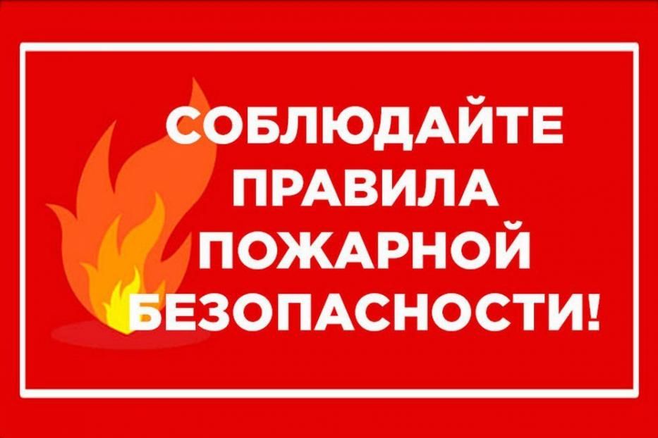 изображение из открытых интернет-источников.