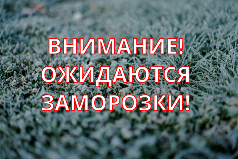 фото из открытых интернет-ресурсов.