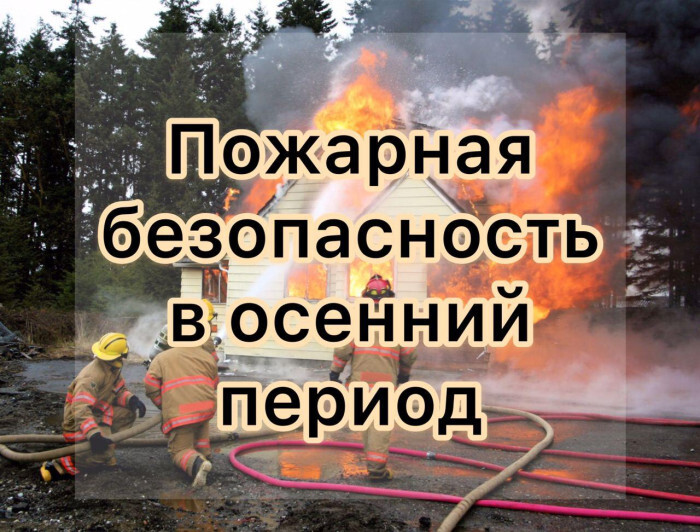 (Фото из открытых интернет-источников).