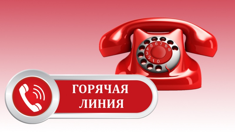 изображение из открытых интернет-источников.
