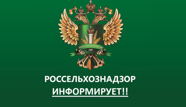 фото из открытых интернет-ресурсов.