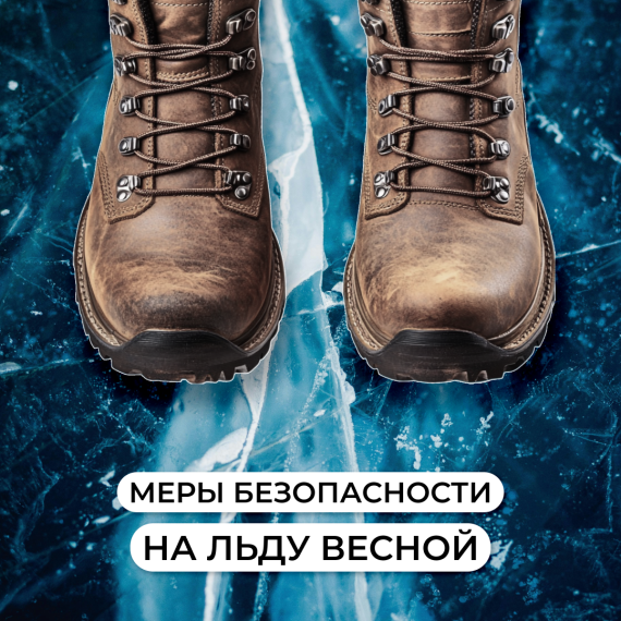 фото из открытых интернет-ресурсов.