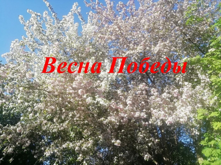 фото из открытых интернет-ресурсов.