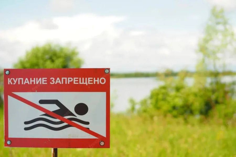 фото из открытых интернет-ресурсов.