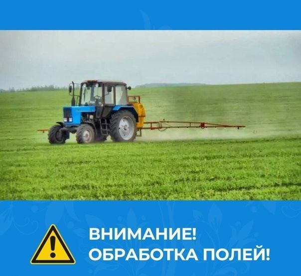 Изображение из открытых интернет-источников.