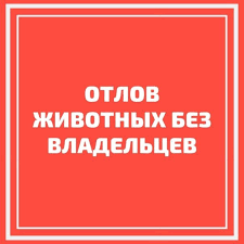 Отлов собак 11.06.2024г..
