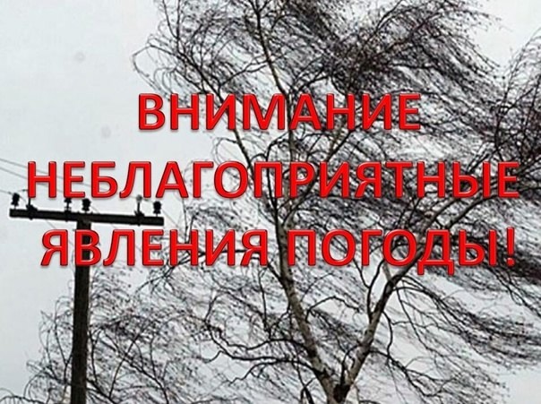 фото из открытых интернет-ресурсов.