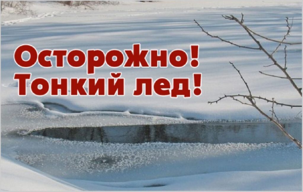 фото из открытых интернет-ресурсов.