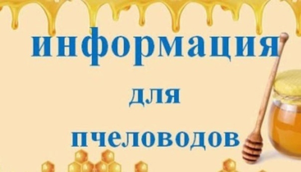 фото из открытых интернет-ресурсов.