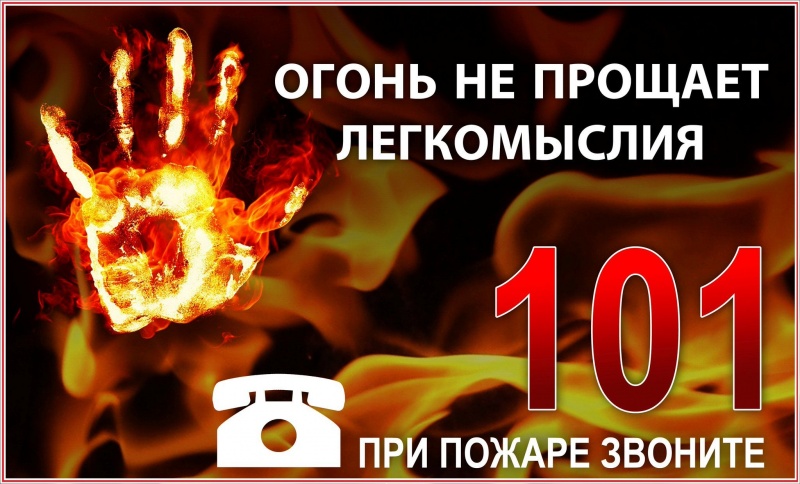 фото из открытых интернет-ресурсов.