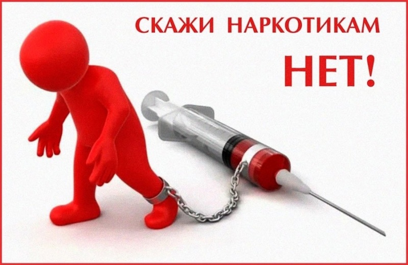 фото из открытых интернет-ресурсов.