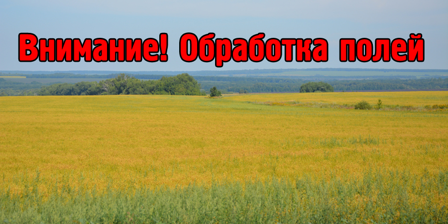фото из открытых интернет-ресурсов.