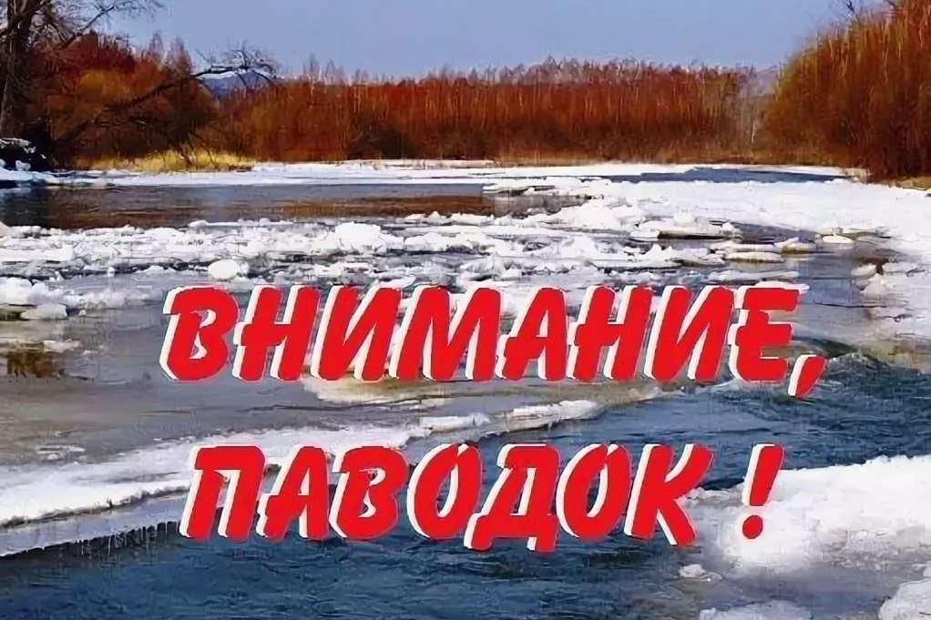 фото из открытых интернет-ресурсов.