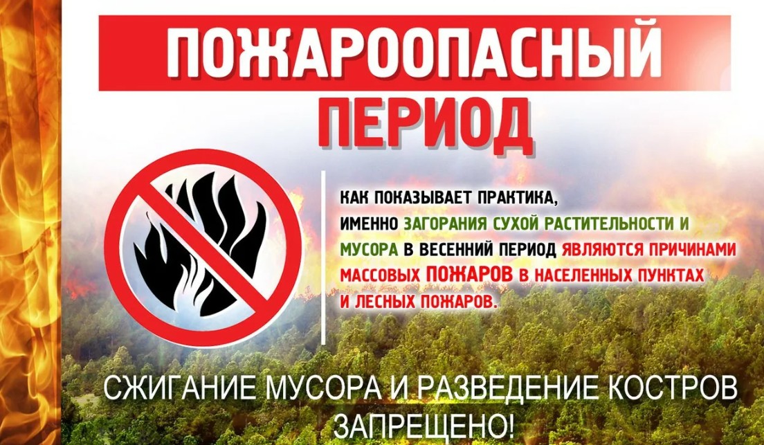 (Фото из открытых интернет-источников).