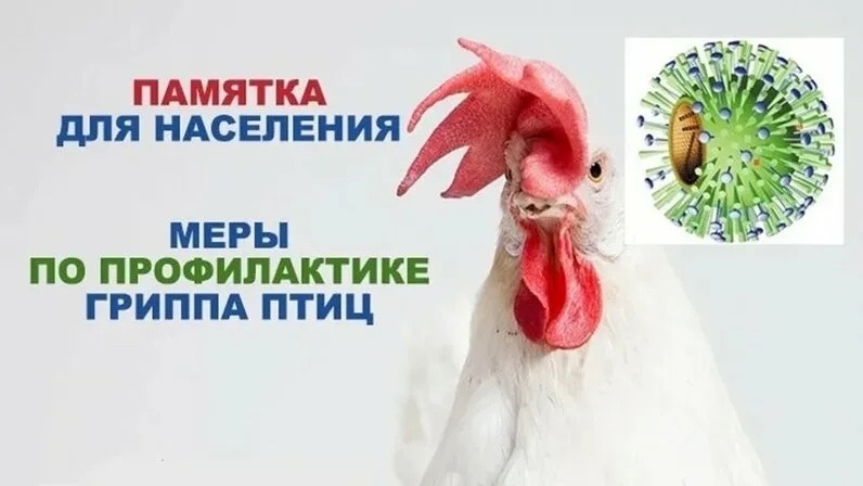 фото из открытых интернет-ресурсов.