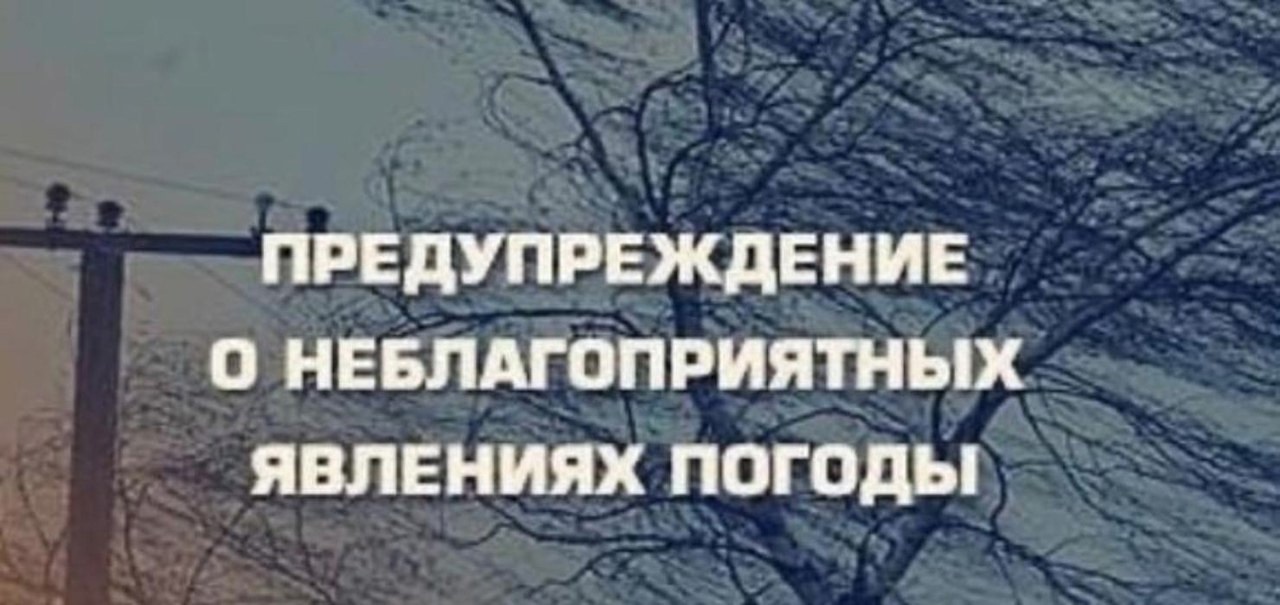 фото из открытых интернет-ресурсов.