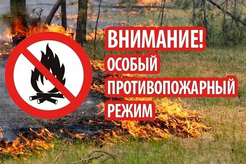 фото из открытых интернет-ресурсов.