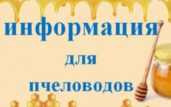 фото из открытых интернет-ресурсов.