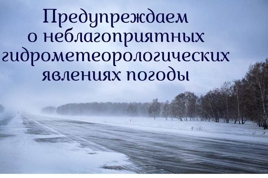 фото из открытых интернет-ресурсов.