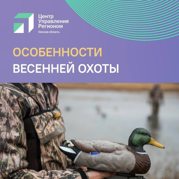 Особенности весенней охоты. Особенности весенней охоты.