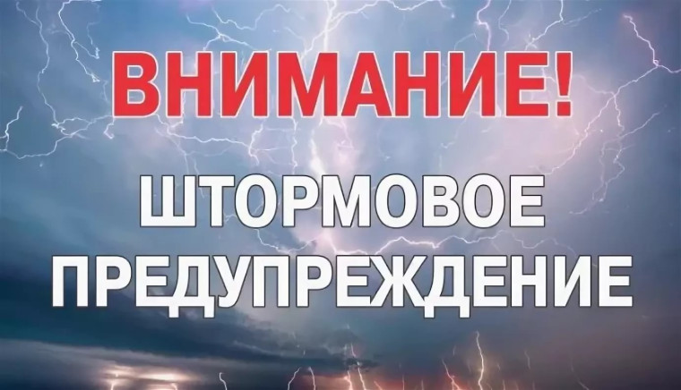 изображение из открытых интернет-ресурсов. изображение из открытых интернет-ресурсов.