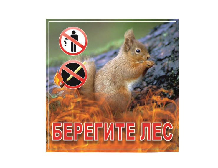 фото из открытых интернет-ресурсов. фото из открытых интернет-ресурсов.