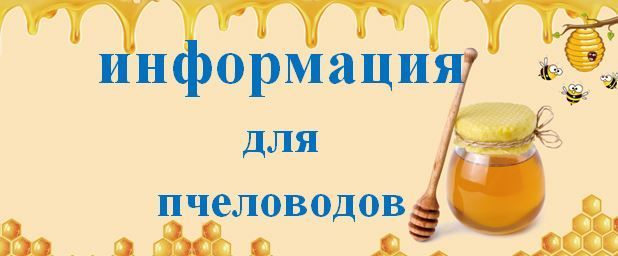 изображение из открытых интернет-ресурсов. изображение из открытых интернет-ресурсов.