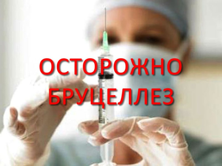 фото из открытых интернет-ресурсов. фото из открытых интернет-ресурсов.