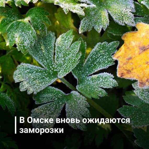 фото из открытых интернет-ресурсов. фото из открытых интернет-ресурсов.