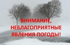 фото из открытых интернет-ресурсов. фото из открытых интернет-ресурсов.