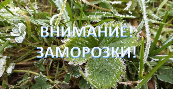 фото из открытых интернет-ресурсов. фото из открытых интернет-ресурсов.