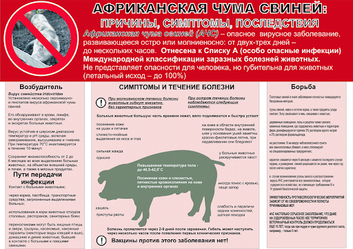 фото из открытых интернет-ресурсов. фото из открытых интернет-ресурсов.