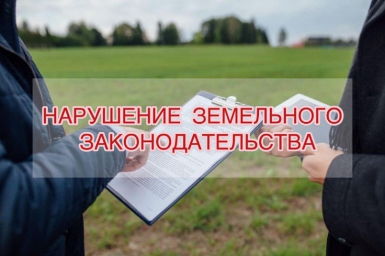 фото из открытых интернет-ресурсов. фото из открытых интернет-ресурсов.