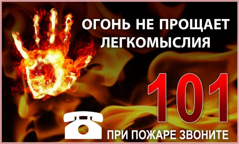 фото из открытых интернет-ресурсов. фото из открытых интернет-ресурсов.