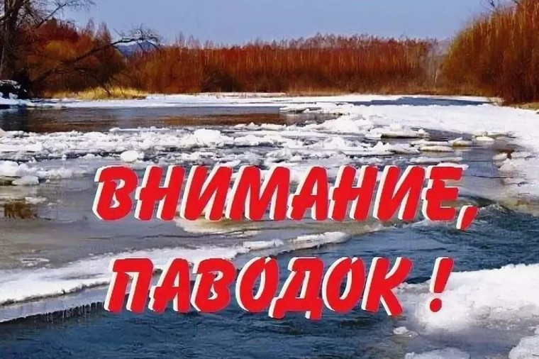 фото из открытых интернет-ресурсов. фото из открытых интернет-ресурсов.