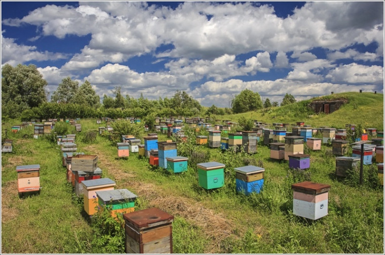 фото из открытых интернет-ресурсов. фото из открытых интернет-ресурсов.